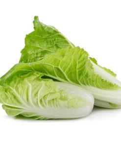 Cải Thảo non/ Cải Thảo Mini