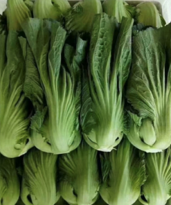 Cải Bẹ Đông Dư