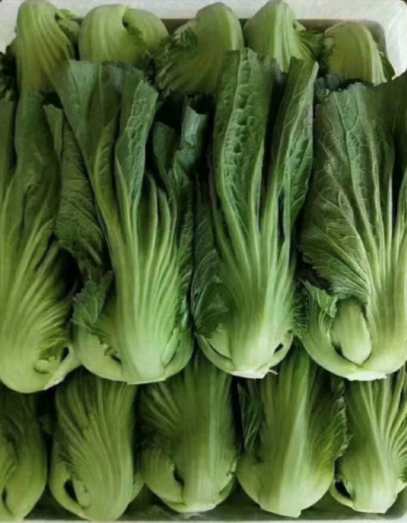 Cải Bẹ Đông Dư