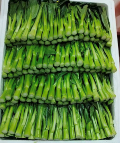 Cải Ngọt (cải rổ/cải làn)